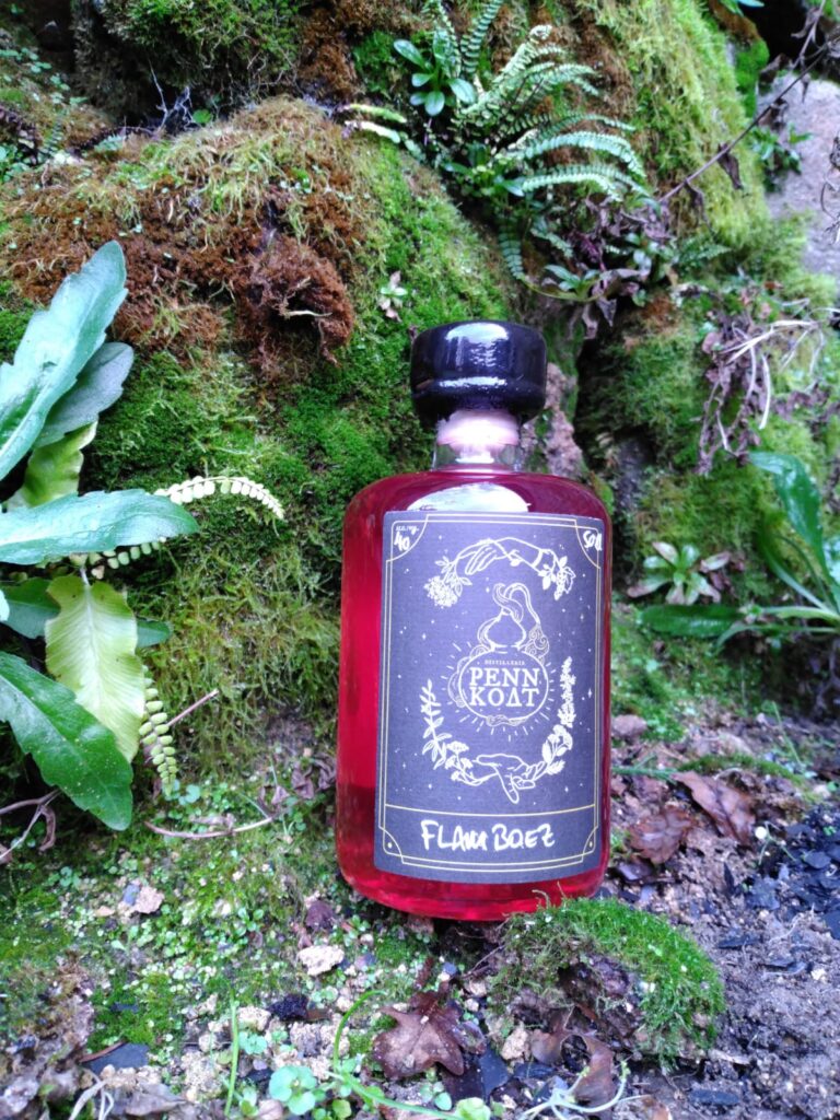 Étiquette de bouteille réalisée pour les liqueurs et spiritueux de la distillerie Penn Koat par la graphiste Mélanie Appéré.
